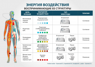 СКЭНАР-1-НТ (исполнение 01)  в Курске купить Медицинский интернет магазин - denaskardio.ru 